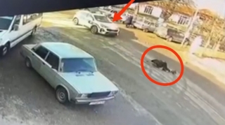 Xaçmazda yol polisi maşını yola qaçan piyadanı belə vurdu - REAL VİDEO 