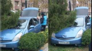 Bakıda “Prius” parkda ağacla toqquşdu   - VİDEO