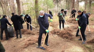 Mərkəzi Nəbatat Bağında iməclik keçirilib  - FOTO