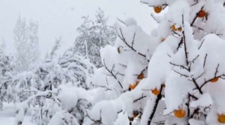 Böyük Qafqazın yüksək dağlıq ərazilərində qar yağıb - FAKTİKİ HAVA 