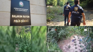 Balakəndə əməliyyat: Silahlı dəstə ifşa olundu - FOTO - VİDEO