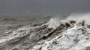 "Əminik ki, "Vostok" gəmisinin ekipajı sağdır"