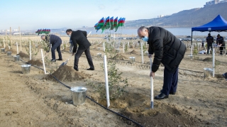 Gömrükçülər növbəti dəfə ağac əkdilər - FOTO