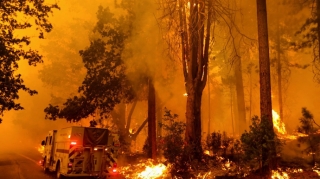 ABŞ-da meşə yanğını ilə əlaqədar fövqəladə vəziyyət elan edilib  