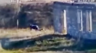 Cəbrayılda minaya düşən fəhlənin görüntüləri yayıldı - VİDEO 