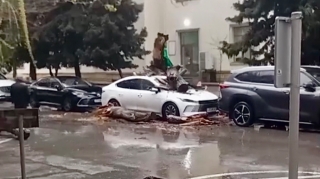 Nəsimidə nəhəng ağac “BYD”nin üzərinə düşdü   - VİDEO