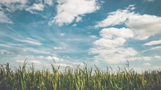 Sabaha gözlənilən hava proqnozu açıqlanıb