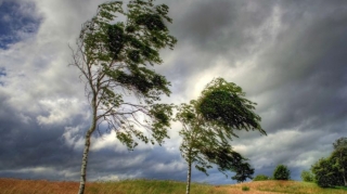 Sabah güclü külək əsəcək