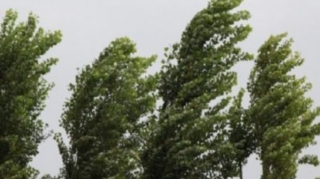 Sabah güclü külək əsəcək 