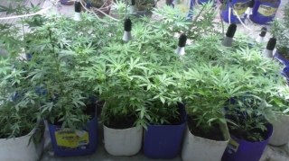 Balakəndə narkotik vasitələrin emal edildiyi laboratoriya aşkarlanıb  - FOTO