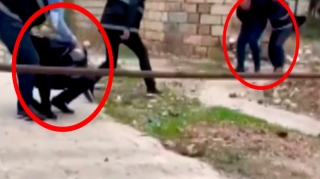 Bakıda xarici vətəndaşlara işləyən şəxslər belə tutuldu - VİDEO 