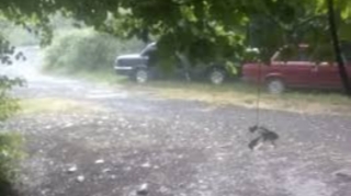 Külək güclənəcək, bəzi çaylardan sel keçəcək - XƏBƏRDARLIQ 