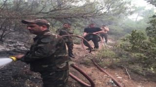 FHN-in qüvvələri Türkiyədə yanğınlarla mübarizəni davam etdirirlər - VİDEO 