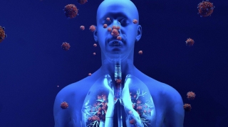 Koronavirus tapmacadır,  biz nə ilə üz-üzə qaldığımızı hələ bilmirik - ALİMLƏR 