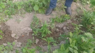 Ağcabədi polisi əməliyyat keçirdi, saxlanılan var - FOTO