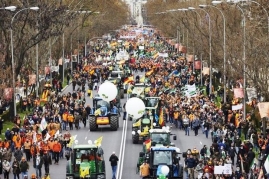Madriddə traktorlarla kütləvi nümayiş keçirildi - VİDEO