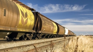 Папоян рассказал о маршруте поставки зерна из Казахстана в Армению через Азербайджан 