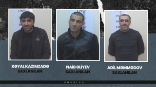 Gəncədə antik əşyalar oğurlayan şəxslər saxlanılıblar - VİDEO 