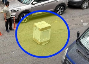 Toy karvanının qarşısını kəsib şirinlik almağın yeni üsulu - VİDEO