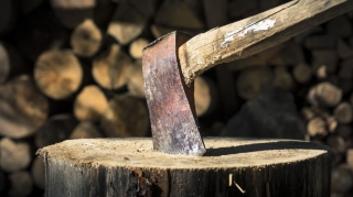 Ağac kəsənlərlə bağlı polisə müraciət olundu