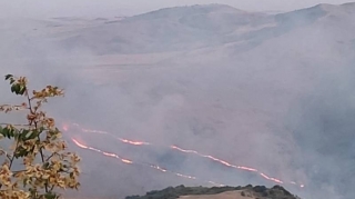 Ağsu və Şamaxının dağlıq ərazilərində yenidən yanğınlar başladı - FOTO