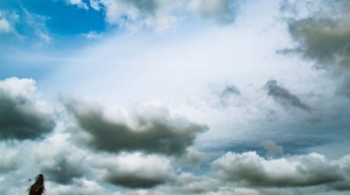 Şənbə gününün hava proqnozu açıqlanıb 