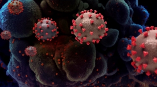 Alim:  "Azərbaycanda yeni mutasiyanın əmələ gəlmə təhlükəsi var"