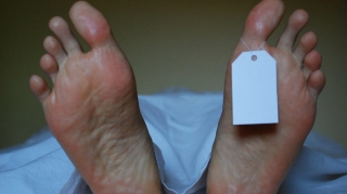 Balakəndə 69 yaşlı kişi ağacdan yıxılaraq ölüb