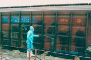 Azərbaycana gələn vaqonlar dezinfeksiya edilir - "Donuz qripi" təhükəsi