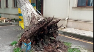 Küləyə görə Qaxın beş kəndinin elektrik təchizatı kəsilib