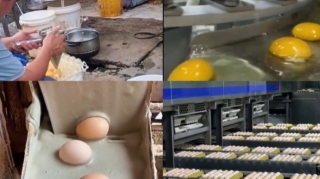 Bu dəfə də saxta yumurta istehsal edirlər: Orijinaldan ayırd etmək olmur - VİDEO 