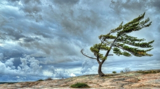 Küləkli hava nə vaxtadək davam edəcək? 