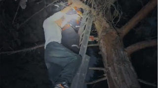 Parkda ağaca çıxdı, düşə bilmədi - Xilasedicilər gəldi - VİDEO 