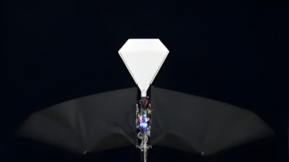 Çin dünyanın ən real quşa bənzər uçan aparatını hazırladı - VİDEO  