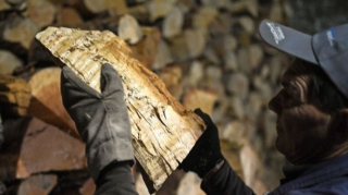 Fransa əhalisi odunla isinəcək:  Vətəndaşlara kuponlar paylanılır