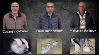 Narkokuryerlər özlərini "meyvə satıcısı" kimi göstərmək istədilər - VİDEO 