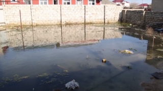 Suya qərq olan Ramana küçələri  - VİDEO