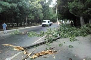 Güclü külək Mingəçevirdə ciddi fəsadlar törədib