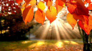 Sabah Bakıda 20, rayonlarda 23 dərəcə isti olacaq 