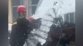 Güclü qar Cəlilabadda ağacı mağazanın üzərinə aşırdı - Yaşlı qadının xilasedilmə VİDEOsu 