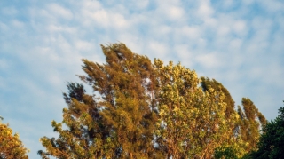 Синоптики предупредили о повышении уровня рек в регионах Азербайджана 