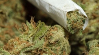 Masallı sakini tiryəklə tutuldu  - VİDEO