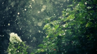 Bakıda və rayonlarda yağış yağacaq 