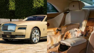 İt üçün xüsusi sifarişlə hazırlanmış "Rolls-Royce"  - FOTO