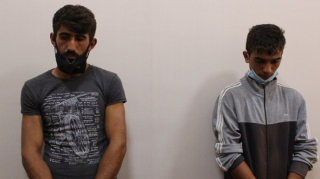 Balakəndə fındıq oğurlayan xalaoğlular saxlanılıb - FOTO