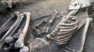 Meşədən insan skeletləri tapıldı 