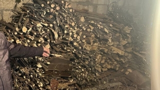 Şamaxıda qanunsuz ağac kəsən şəxs cərimələnib  - FOTO