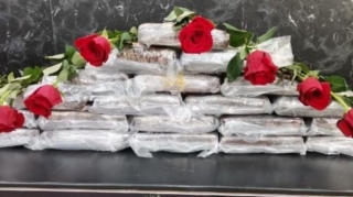 "Sevgililər Günü" üçün göndərilən gül qutularından kokain çıxdı  - FOTO - VİDEO