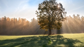 Sabaha gözlənilən hava proqnozu açıqlandı