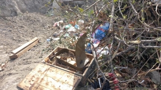 Mingəçevirdə silah-sursat aşkarlanıb  - FOTO